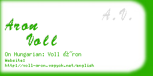 aron voll business card